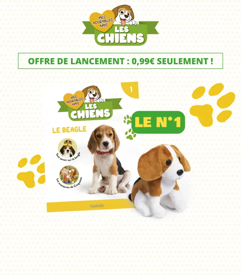 Mes adorables amis les chiens